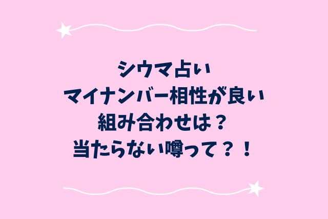 シウマ占いマイナンバー相性が良い組み合わせは？当たらない噂って？！